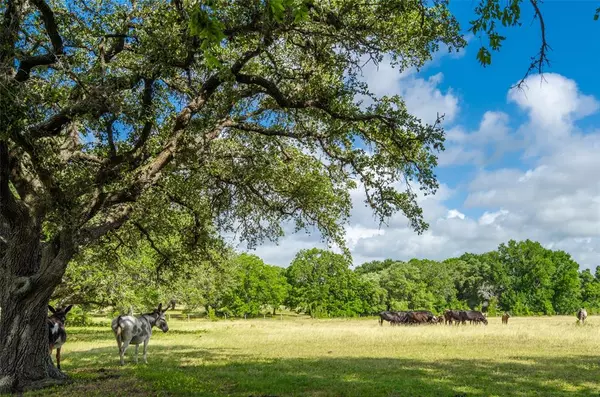 Schulenburg, TX 78956,258 Private Road 2006