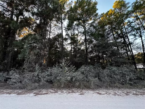 Plantersville, TX 77363,Lot 1 Live Oak DR