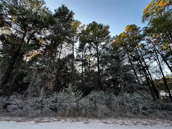 Plantersville, TX 77363,Lot 1 Live Oak DR