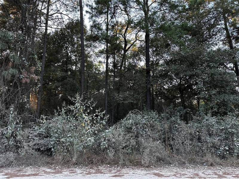 Lot 1 Live Oak DR, Plantersville, TX 77363