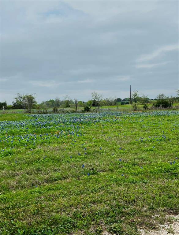 455 Century Farms RD, Burton, TX 77835