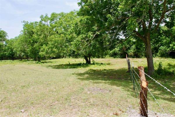 Flatonia, TX 78941,TBD Pine Springs RD