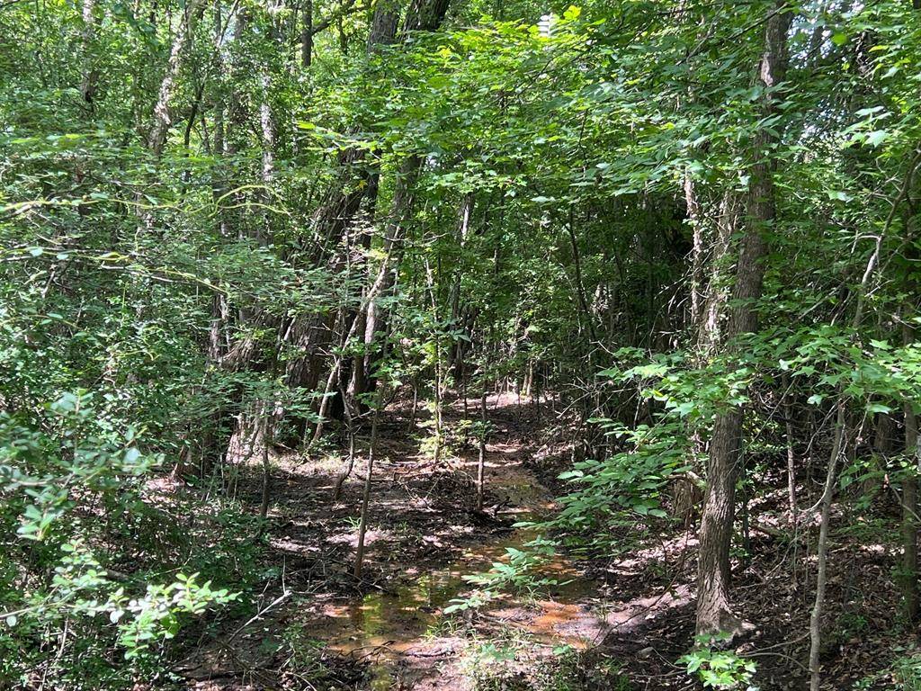 Buffalo, TX 75831,12 ac CR 212