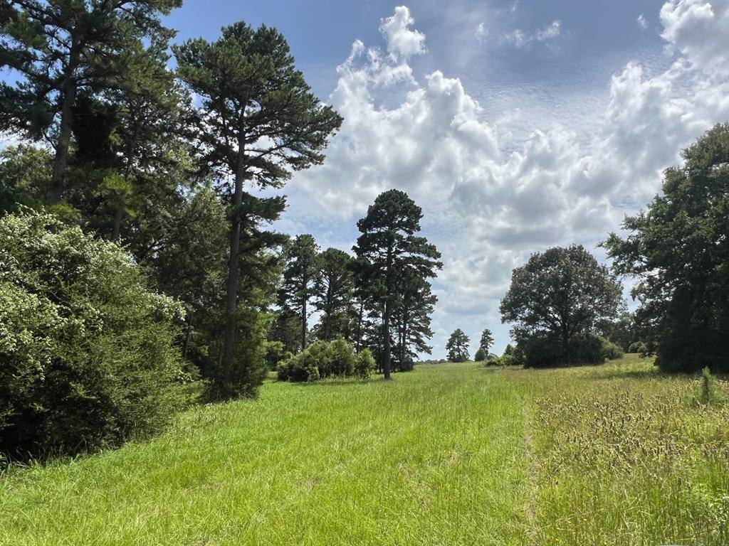Buffalo, TX 75831,12 ac CR 212
