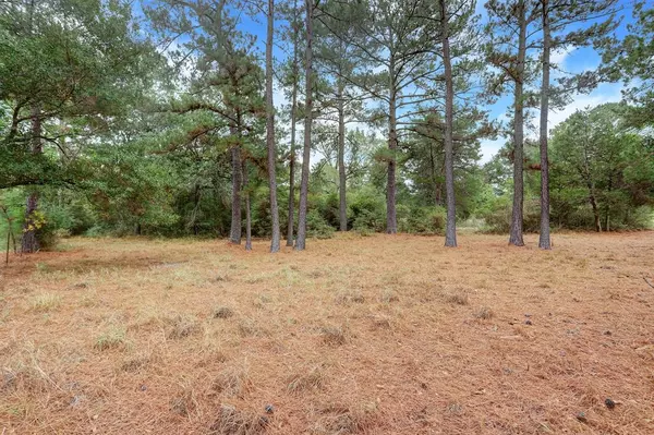 New Ulm, TX 78950,000 Weishuhn RD