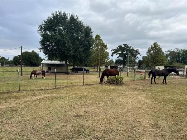 Waller, TX 77484,31807 Washington ST