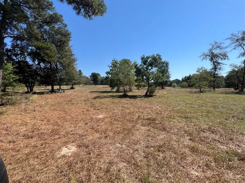 0010 County Road 410, Navasota, TX 77868