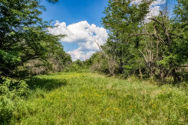 Washington, TX 77880,0000 Flat Prairie RD