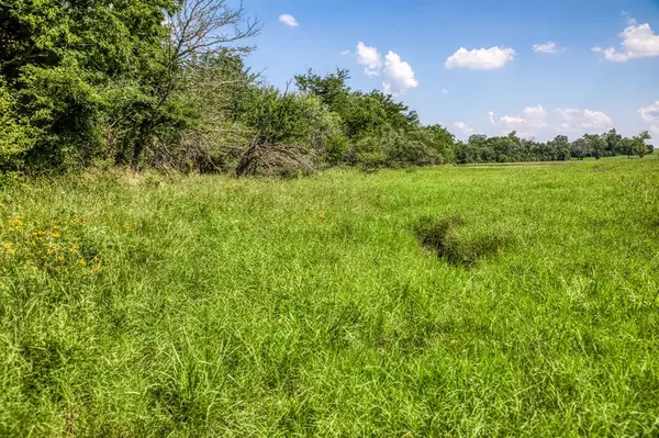 Washington, TX 77880,0000 Flat Prairie RD