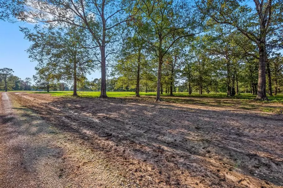 Lot 5 Alans Memorial Lane, New Waverly, TX 77358