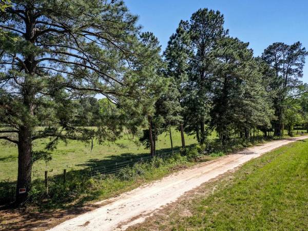 Huntsville, TX 77340,11 Acres Black Jack Rd