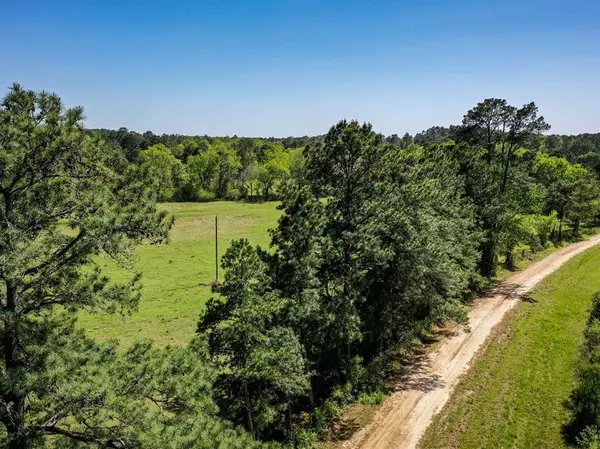 Huntsville, TX 77340,11 Acres Black Jack Rd