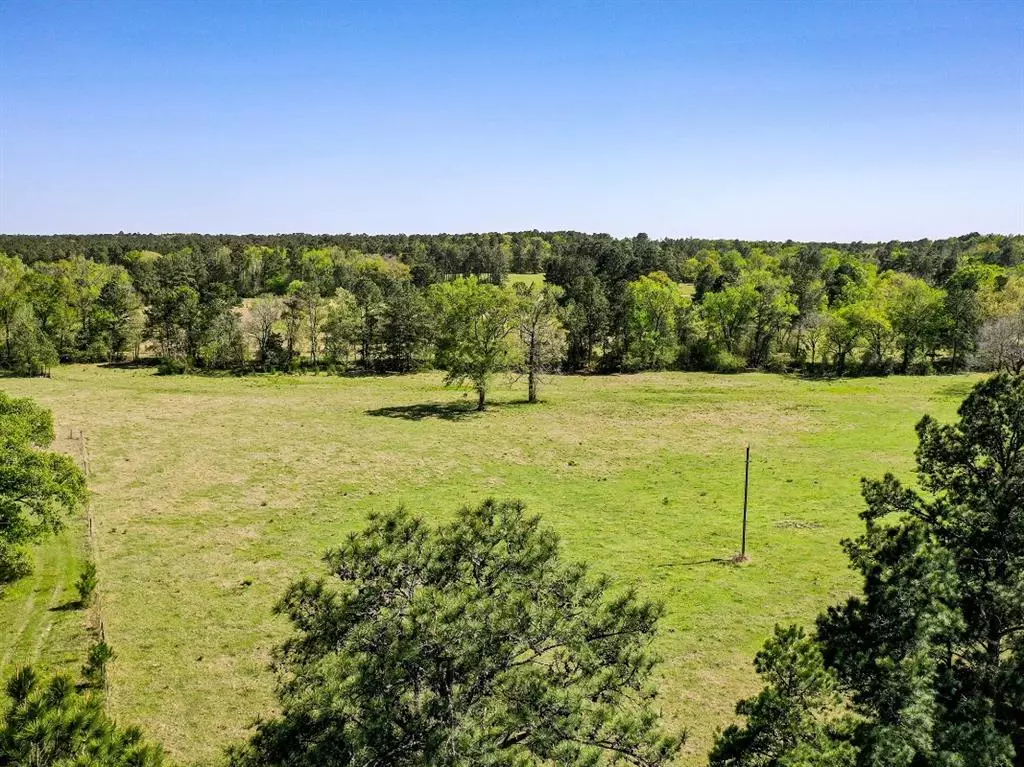 Huntsville, TX 77340,11 Acres Black Jack Rd