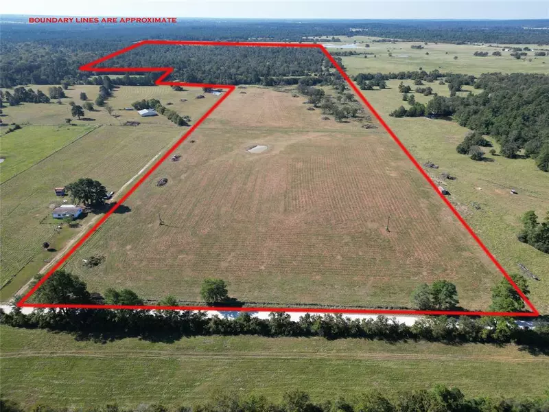 170 ACRES County Road 146, Bedias, TX 77830