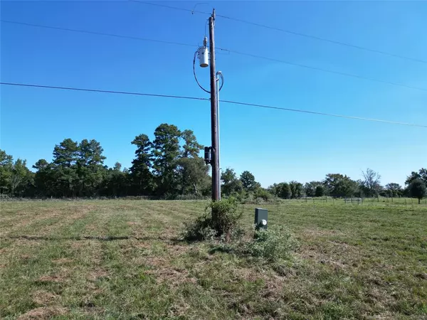 Bedias, TX 77830,170 ACRES County Road 146