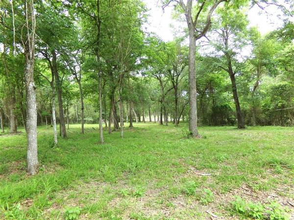 31093 Joseph RD, Hockley, TX 77447