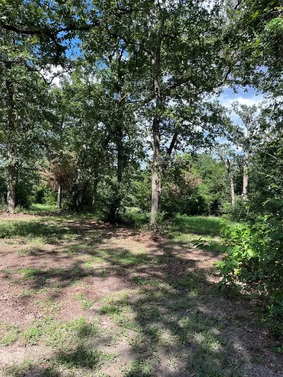 Hilltop Lakes, TX 77871,TBD West Trail Lane