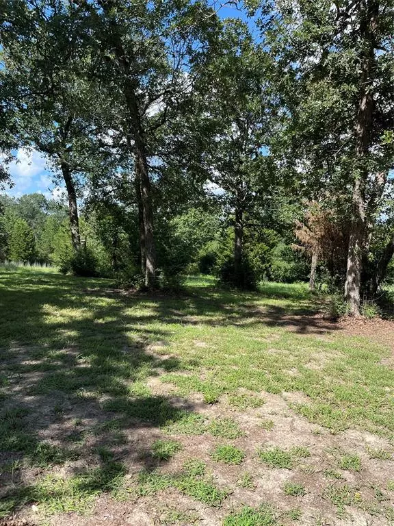 Hilltop Lakes, TX 77871,TBD West Trail Lane