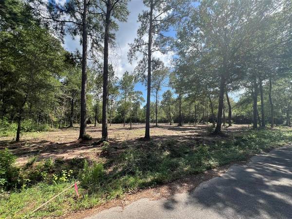 TBD Lot 3 Deerwood DR, Plantersville, TX 77363