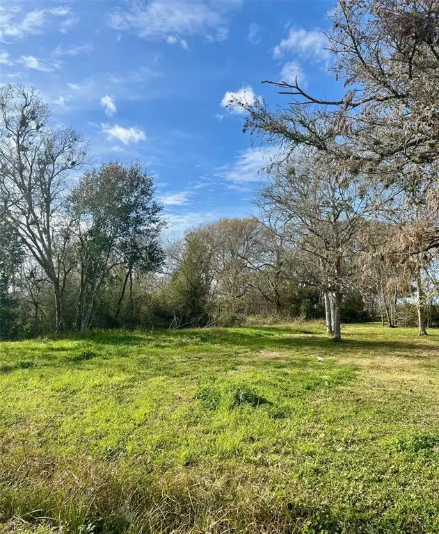 Eagle Lake, TX 77434,Lot 6 Simmons ST