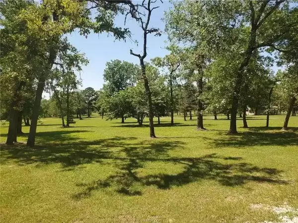 Hempstead, TX 77445,Lot 8 Owl DR