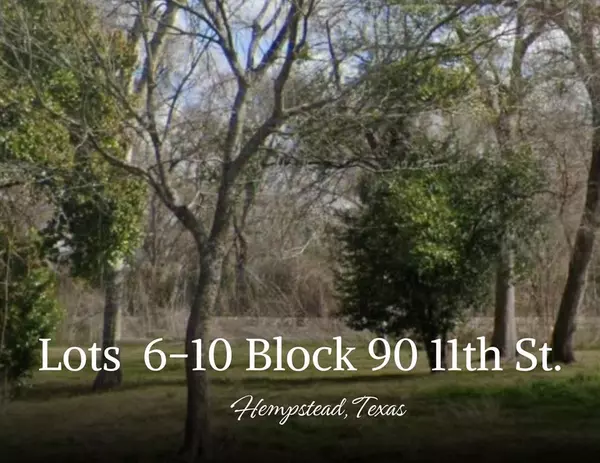 Lots 6, 7, 8, 9, 10 Block 90 Located on 11th Street, Hempstead, TX 77445