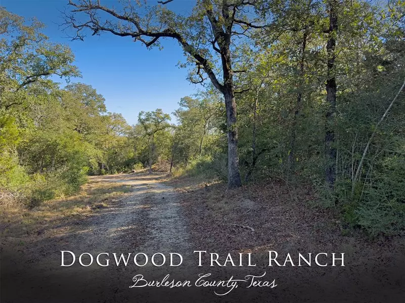 10429 County Road 313, Caldwell, TX 77836