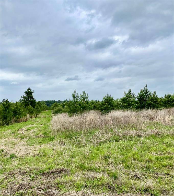 Lovelady, TX 75851,0 Calhoun CT Tract 170