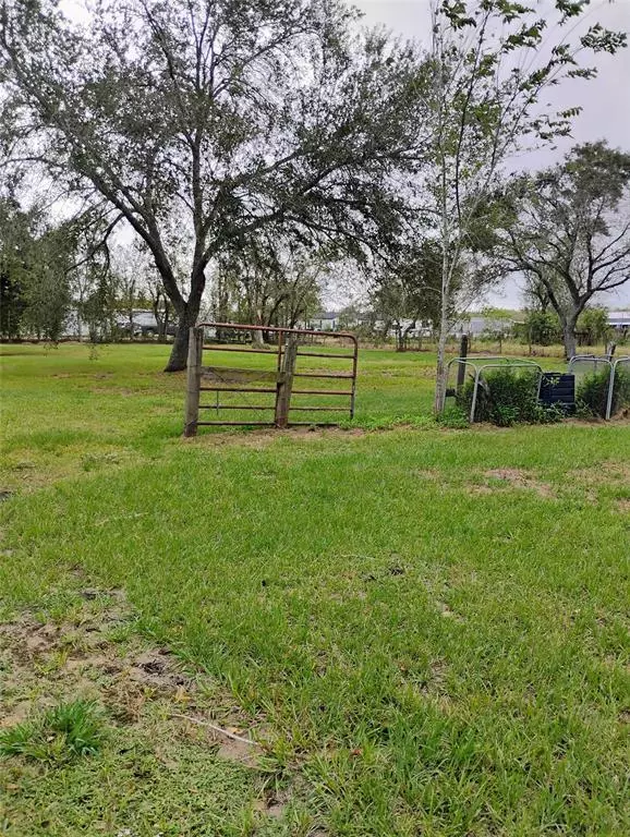 Rosharon, TX 77583,803 One Oak Chase RD