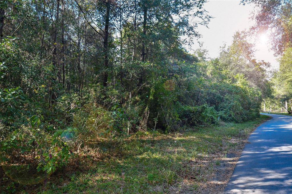 Splendora, TX 77372,TBD Williamson RD