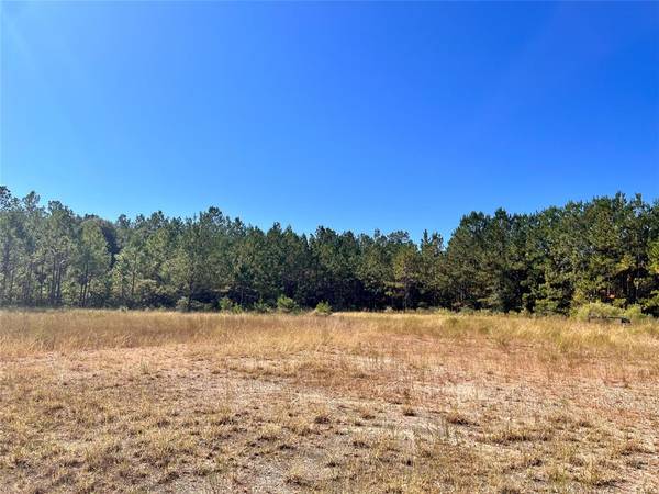 TBD 7.13 Acres, Kountze, TX 77625