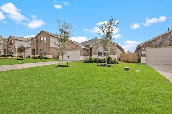 Magnolia, TX 77354,14731 BLACKBRUSH MANOR