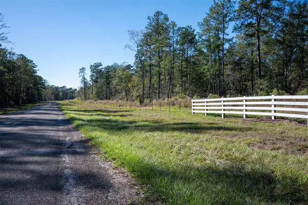 Chester, TX 75936,00 Farm to Market 1745