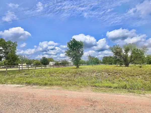 Beasley, TX 77417,1214 Chapman RD