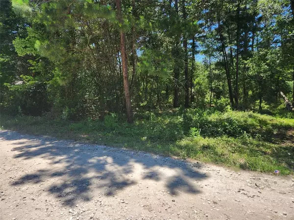 Plantersville, TX 77363,Lot 30 Mossyknoll DR