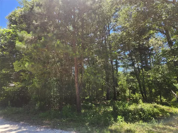 Plantersville, TX 77363,Lot 30 Mossyknoll DR