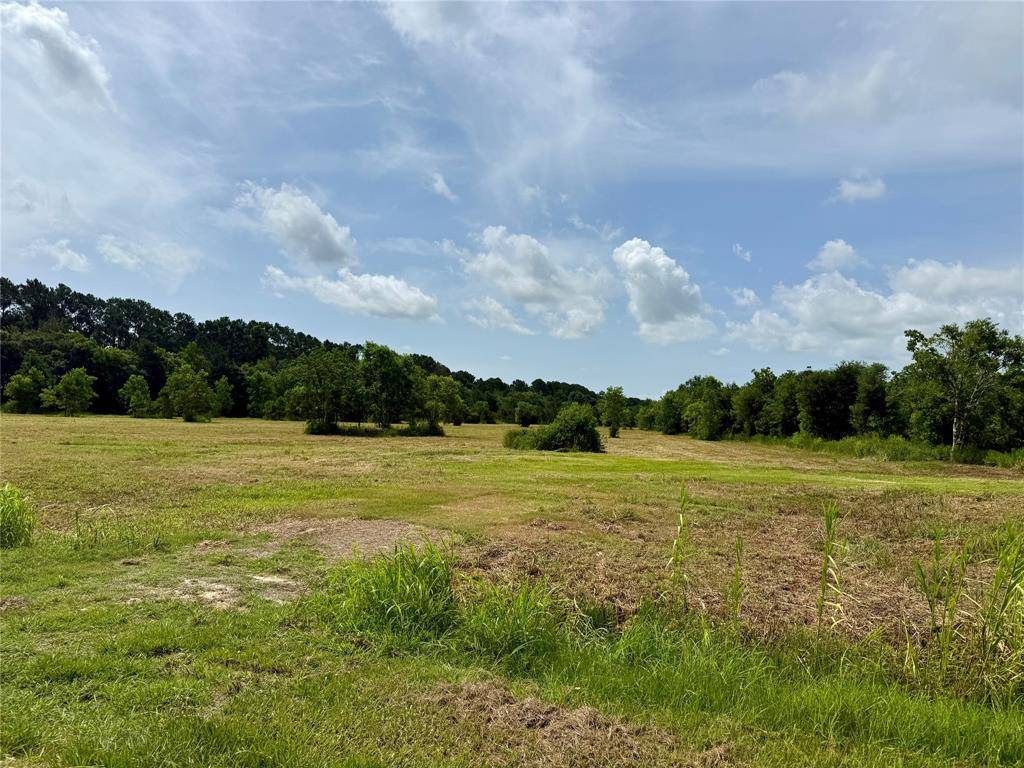 Anahuac, TX 77514,00 Heller RD