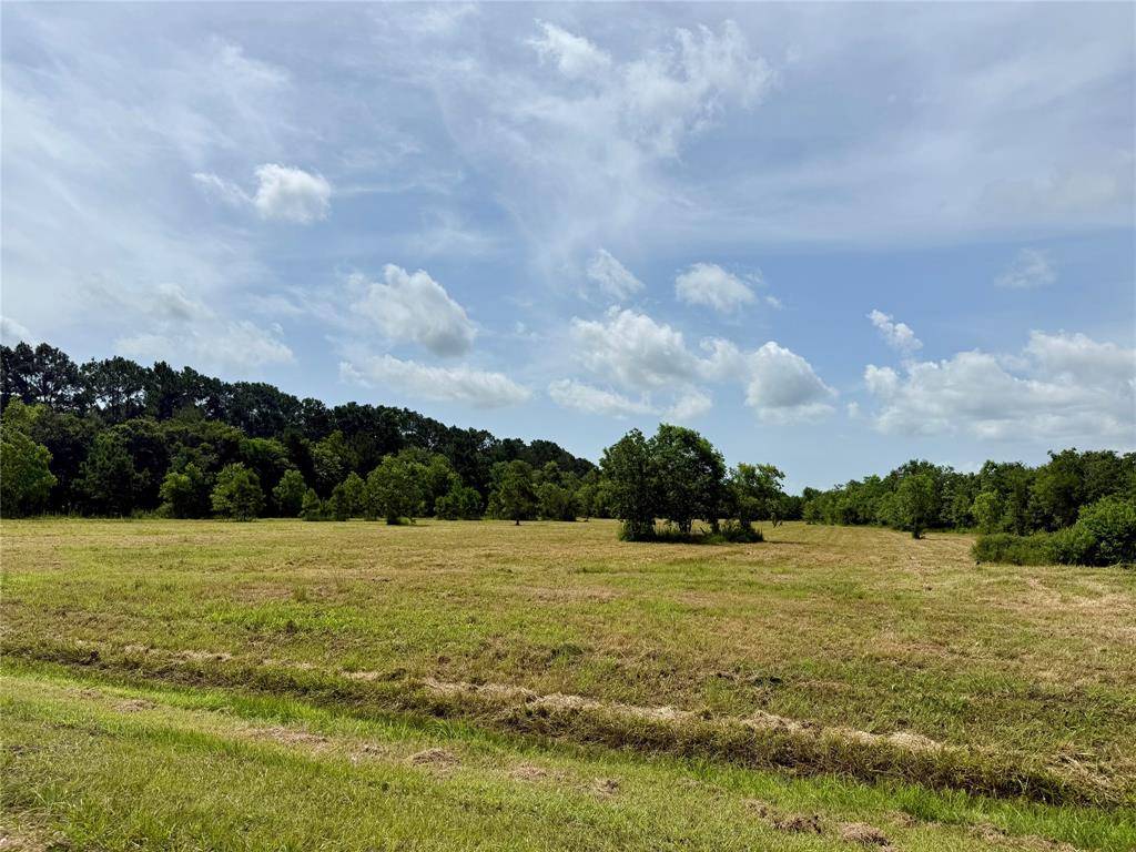 Anahuac, TX 77514,00 Heller RD