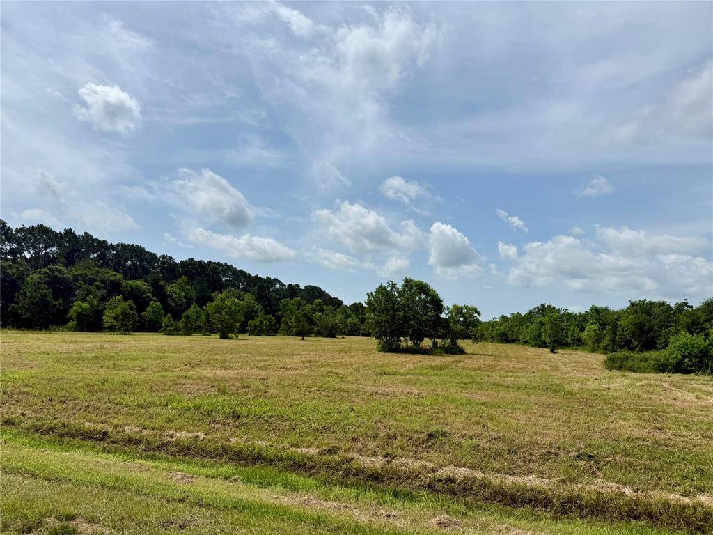 00 Heller RD, Anahuac, TX 77514