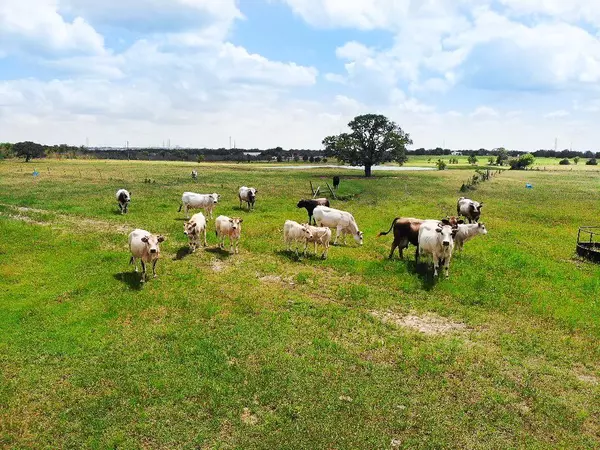 Round Top, TX 78954,2327 E State Highway 237