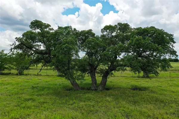 Round Top, TX 78954,2327 E State Highway 237