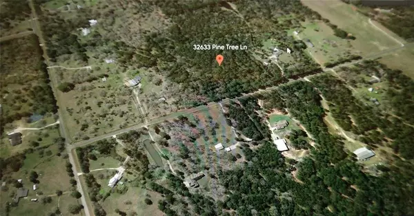 Waller, TX 77484,32633 Pine Tree Lane LN