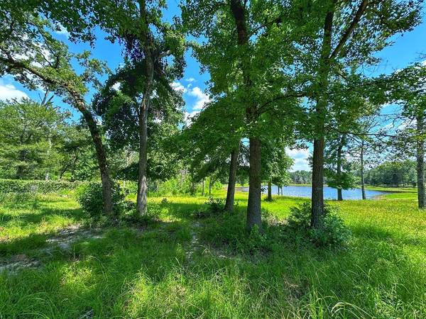 TBD Walnut Lane, Buffalo, TX 75831