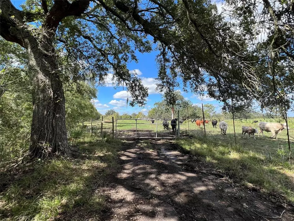 Sweeny, TX 77480,26400 Highway 35