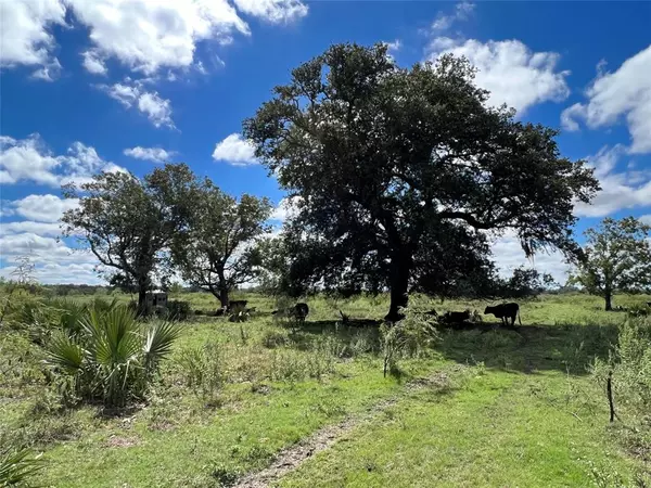 Sweeny, TX 77480,26400 Highway 35