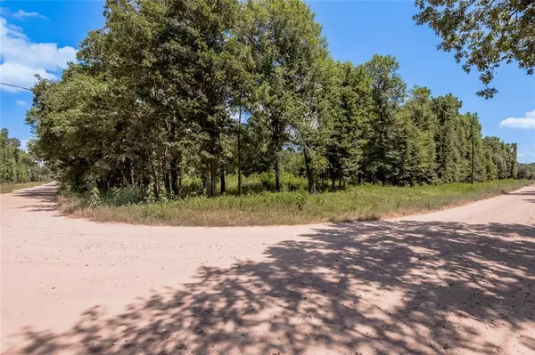 Livingston, TX 77351,Lot 140 Star Dust DR