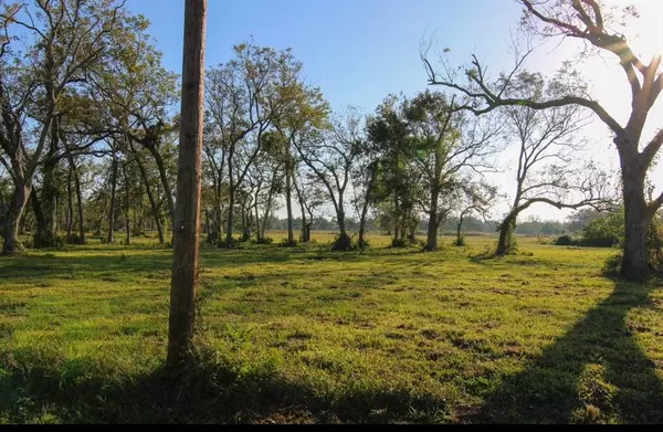 Brazoria, TX 77422,000 County Road 358