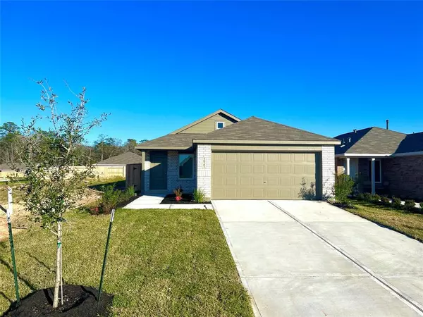 16707 Largetooth Aspen Ln LN, New Caney, TX 77357