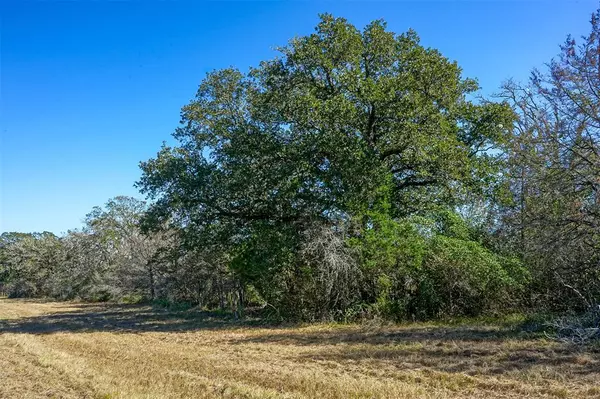 Bedias, TX 77831,Lot 4 County Rd 229