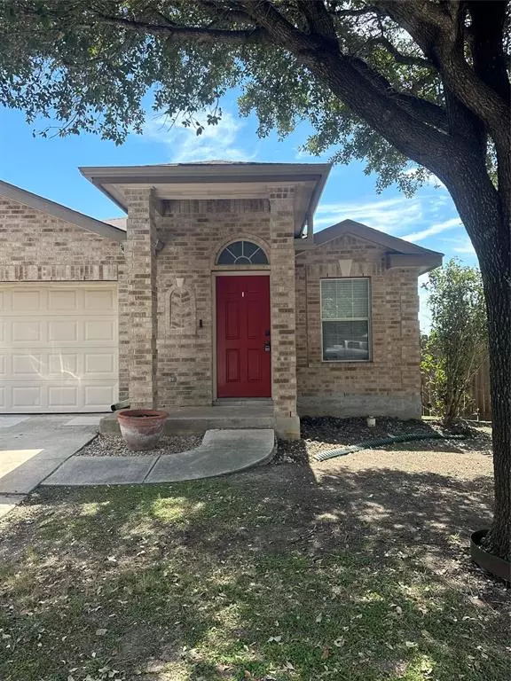 235 Ibis Falls DR, New Braunfels, TX 78130